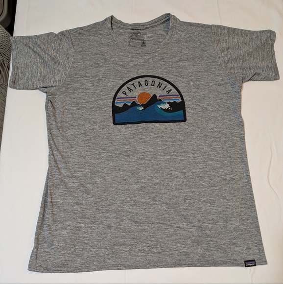 Patagonia Tops - Patagonia Gray Short Sleeve Tee with Nature-Inspired Design